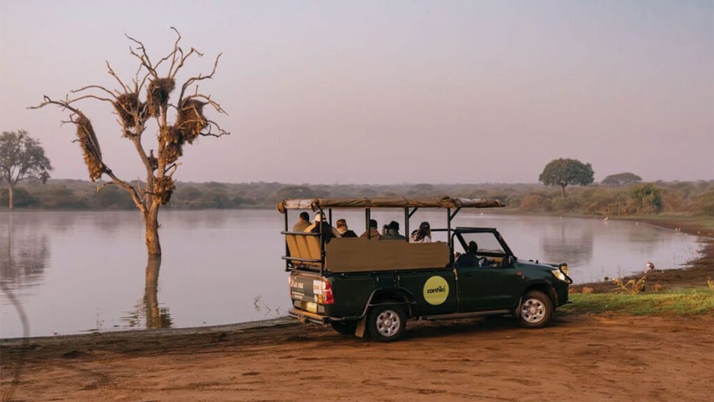 Contiki boosts african safari adventures for young explorers